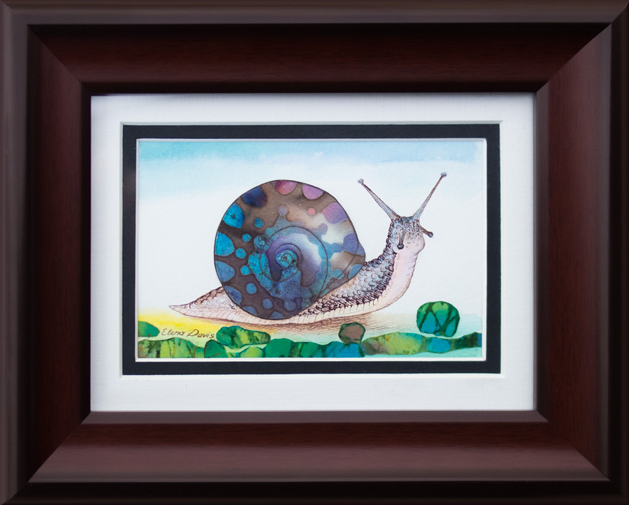 Snail in Shell